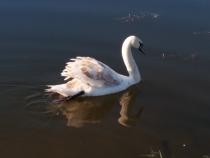 Witamy na naszej stronie internetowej